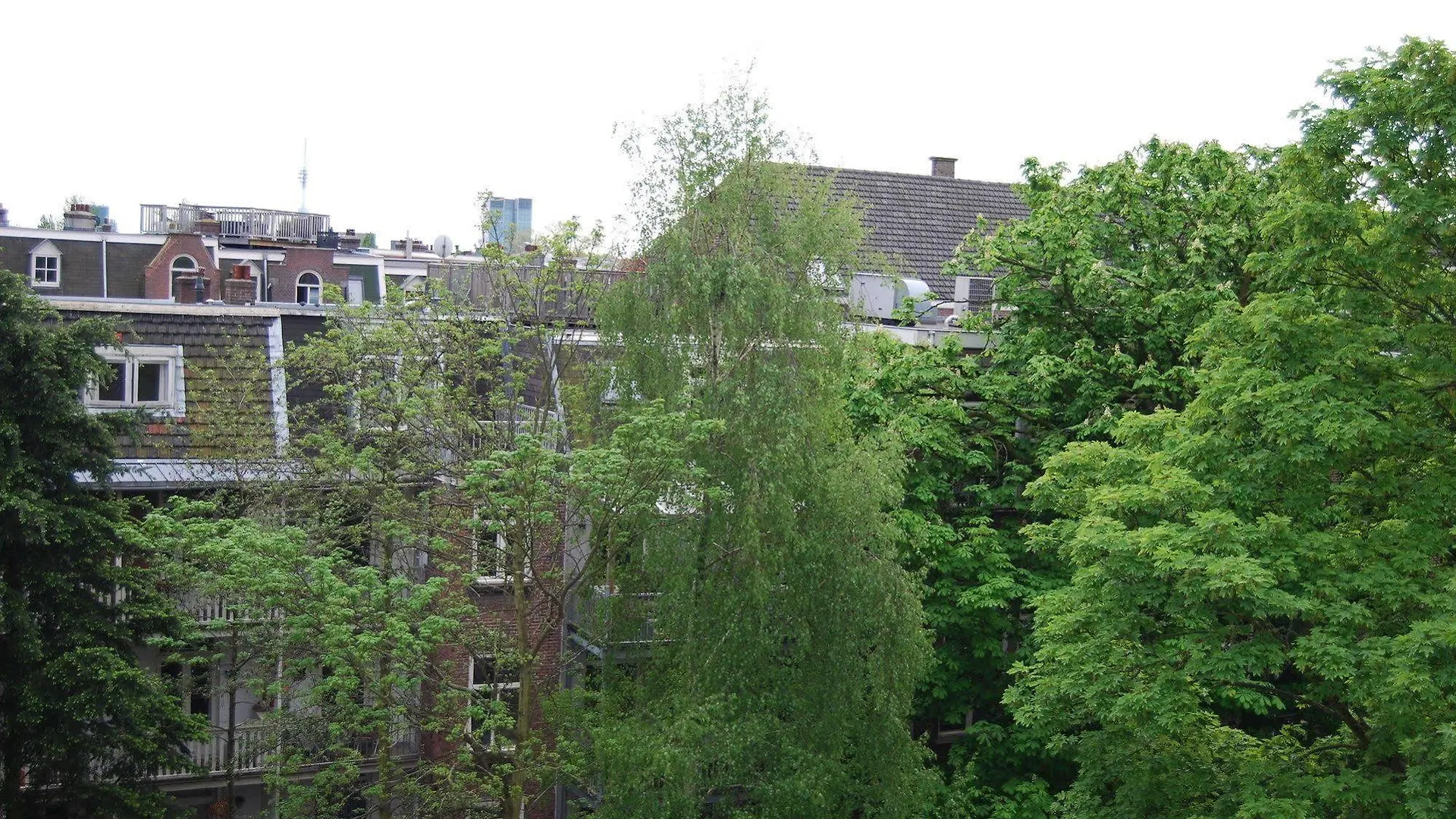 Hotel Adriaen Van Ostade B&B Amsterdam
